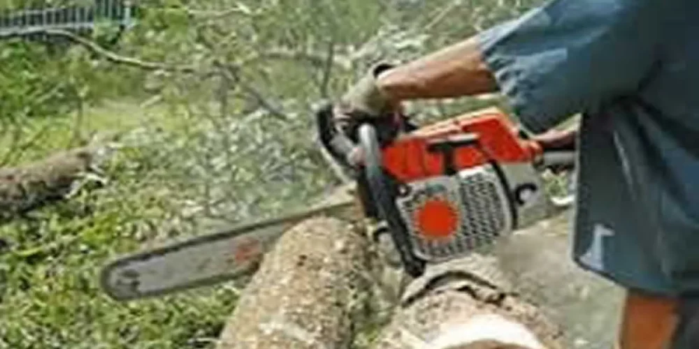 Curso de Operador de Moto Serra